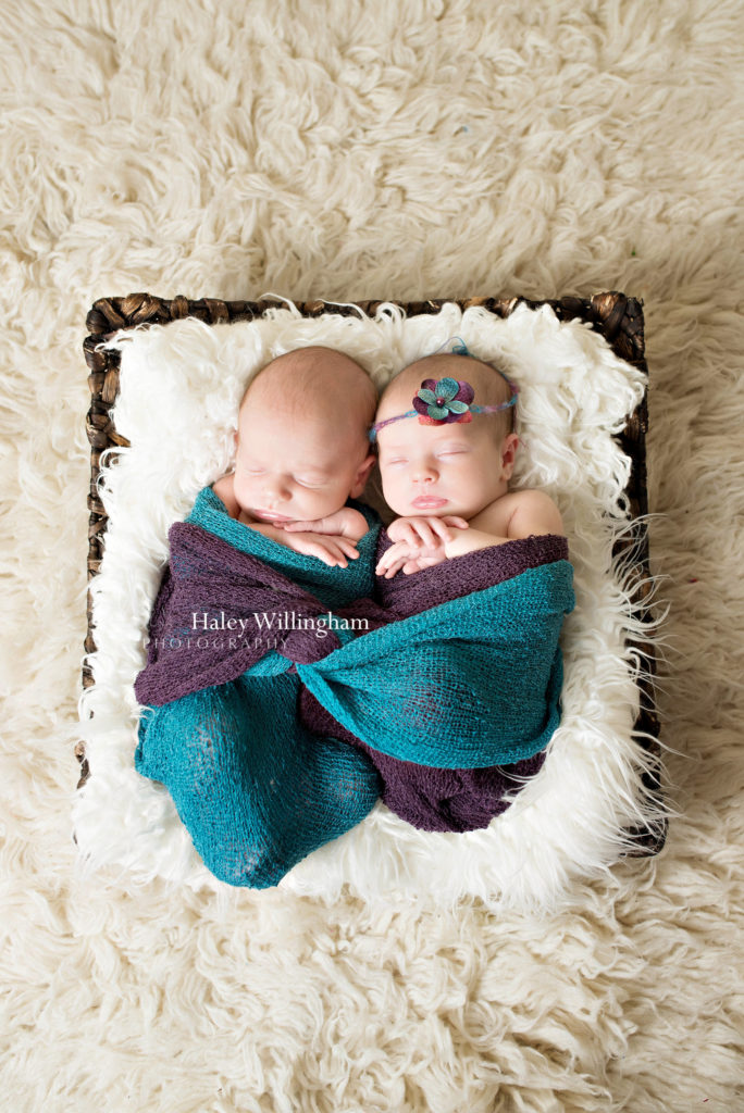 Shepherdstown WV Twin Newborn Photographer