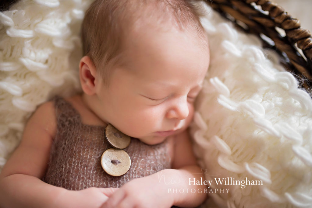 Martinsburg WV Newborn Photographer