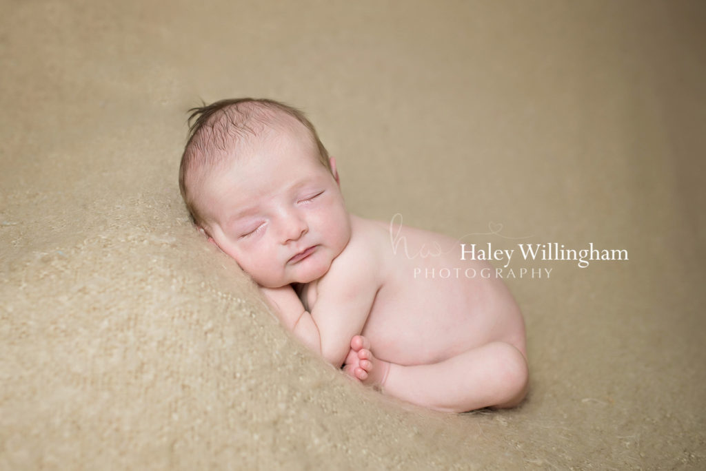 Newborn Photographer Charles Town WV