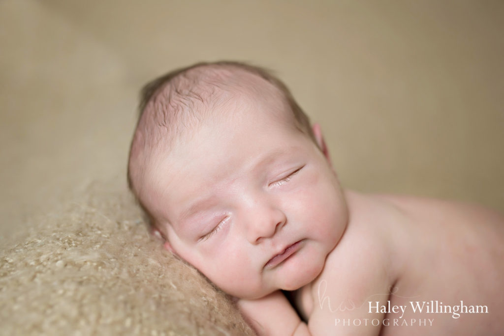 Newborn Photographer Charles Town WV