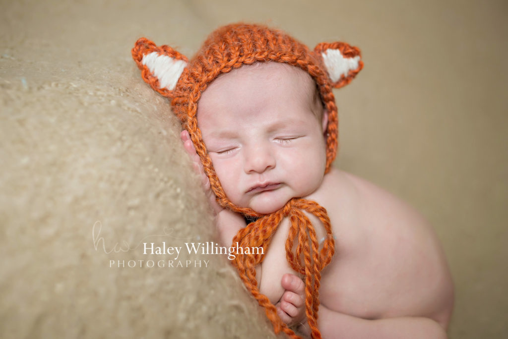 Newborn Photographer Charles Town WV