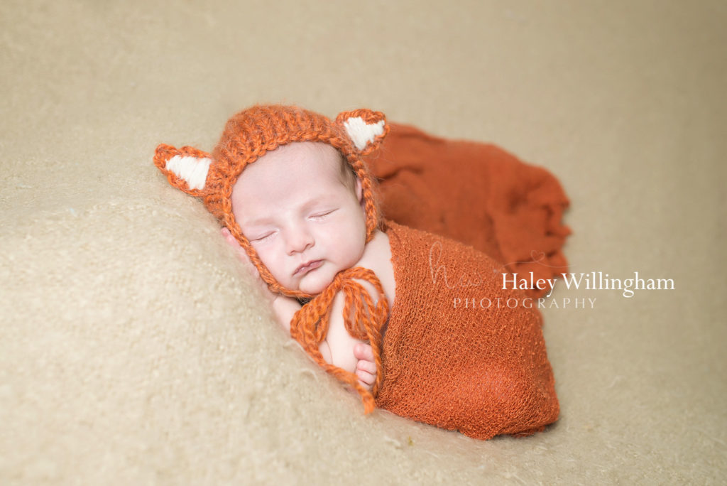 Newborn Photographer Charles Town WV