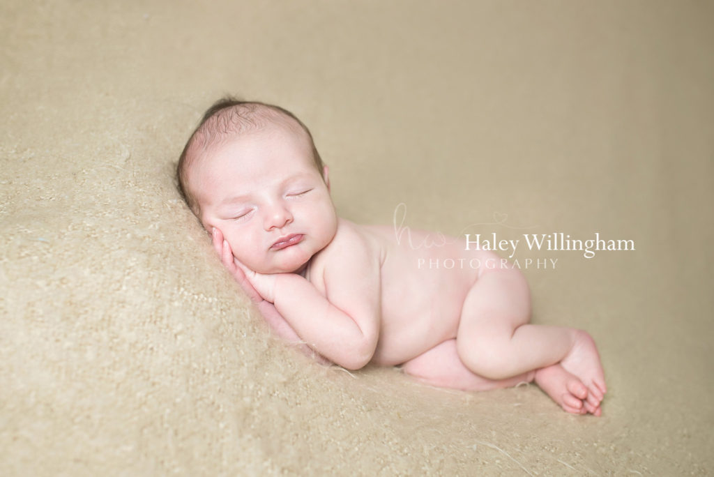 Newborn Photographer Charles Town WV