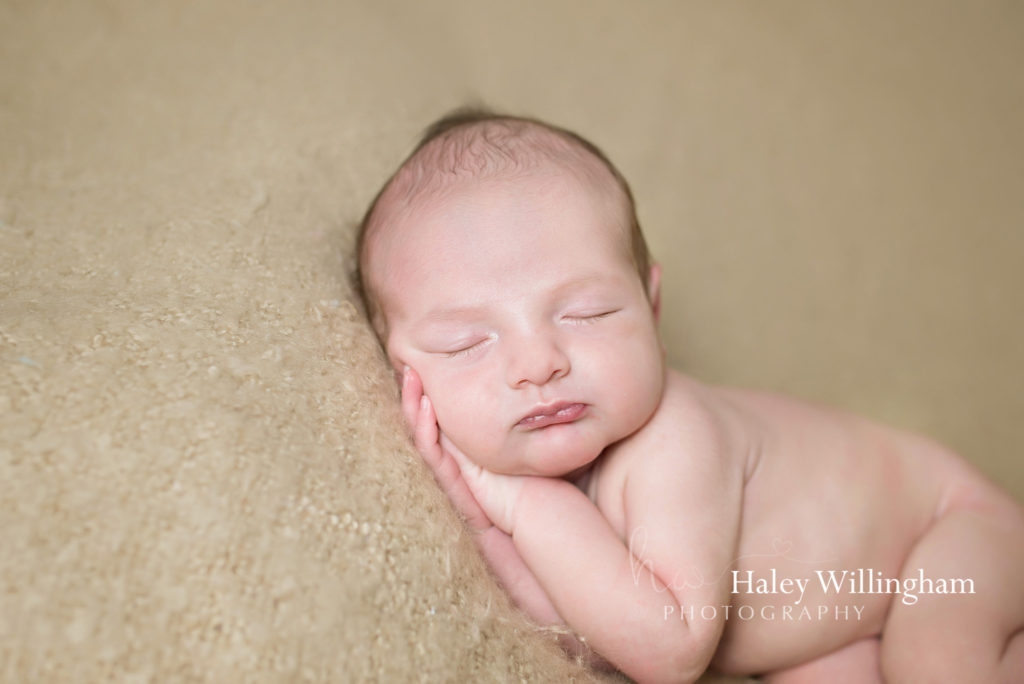 Newborn Photographer Charles Town WV