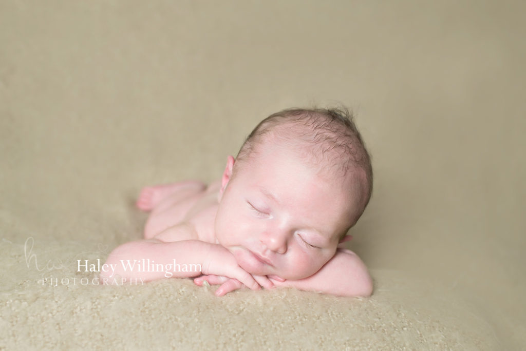 Newborn Photographer Charles Town WV