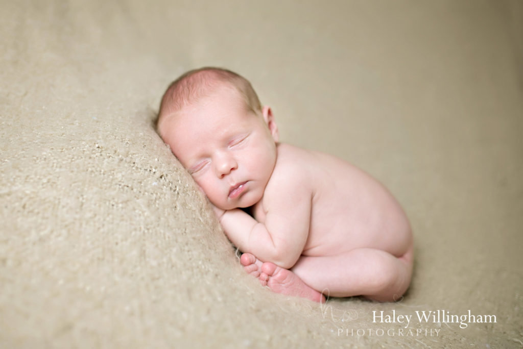 Chambersburg PA Newborn Photographer