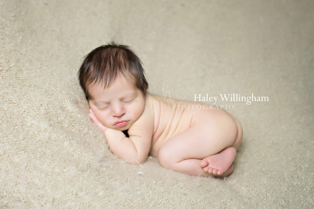 Frederick Maryland Newborn Photographer