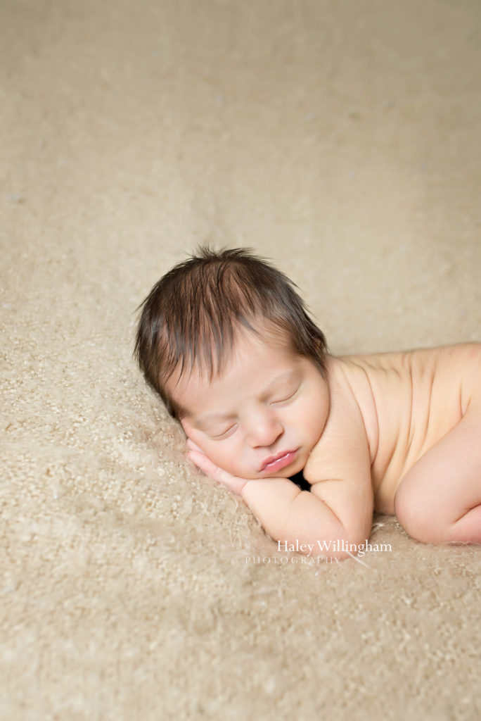 Frederick Maryland Newborn Photographer