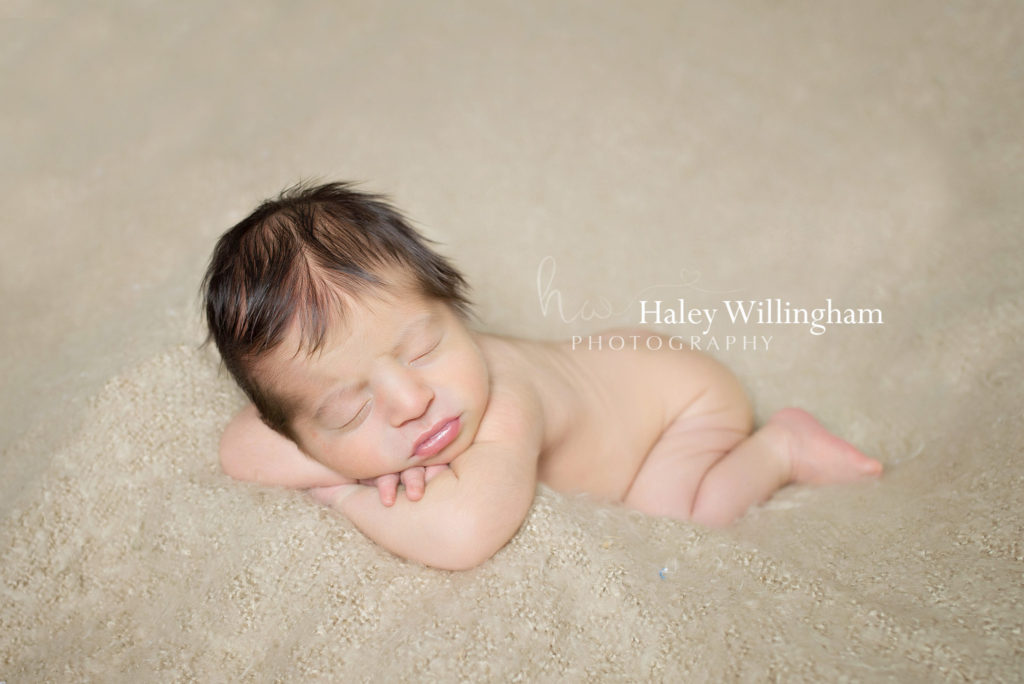 Frederick Maryland Newborn Photographer