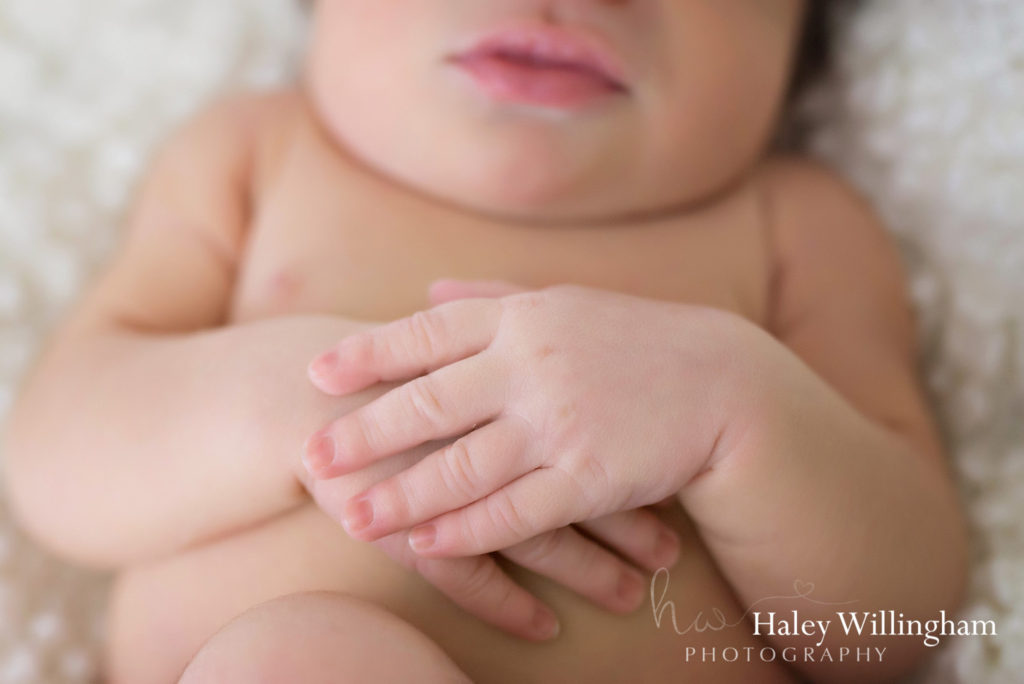 Frederick Maryland Newborn Photographer