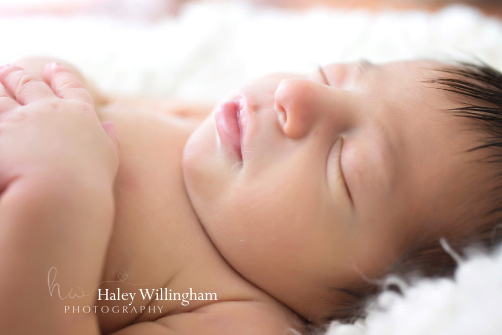 Frederick Maryland Newborn Photographer