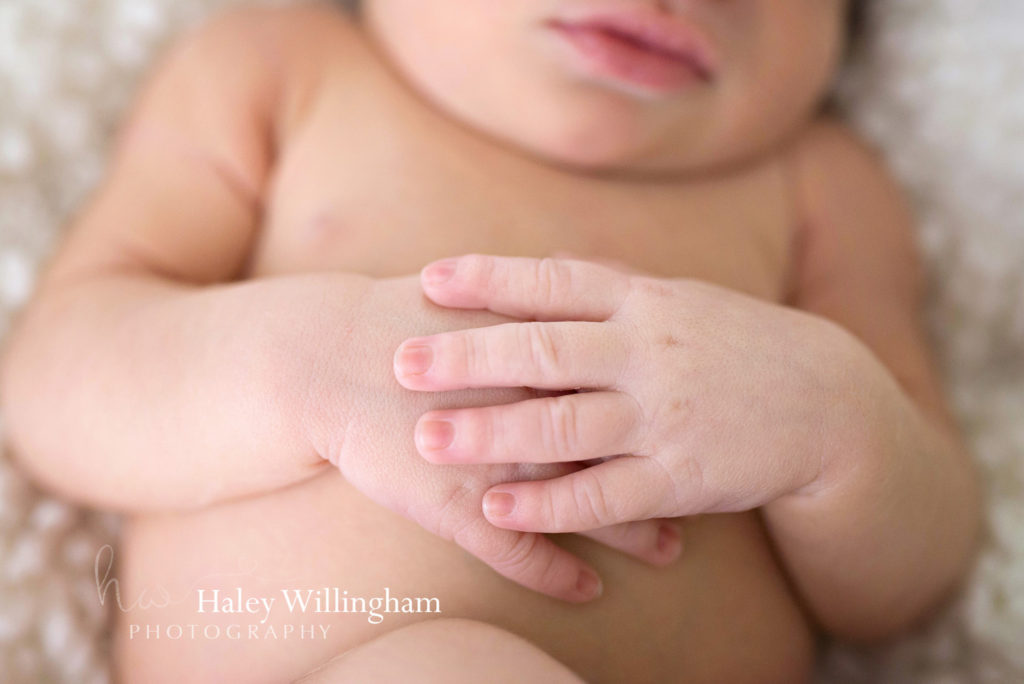 Frederick Maryland Newborn Photographer