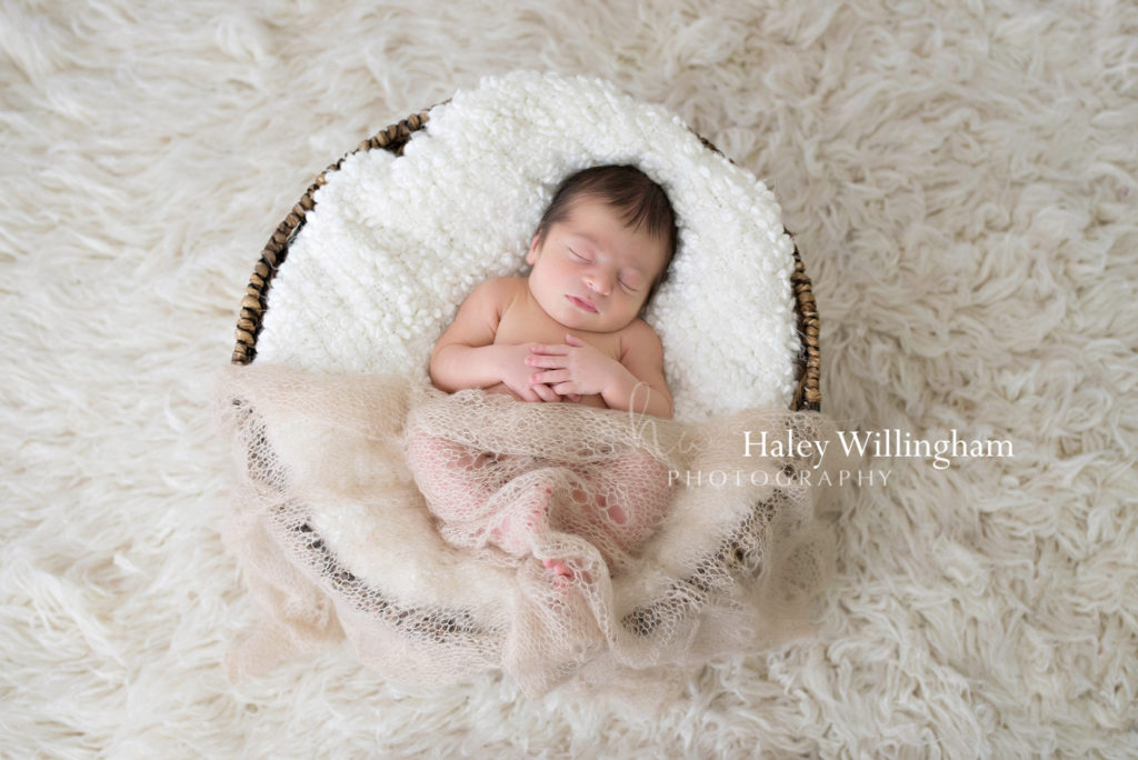 Frederick Maryland Newborn Photographer