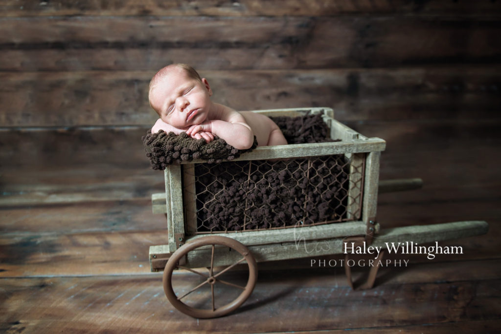 Chambersburg PA Newborn Photographer