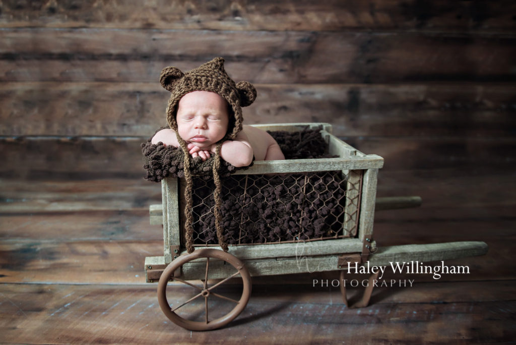 Chambersburg PA Newborn Photographer