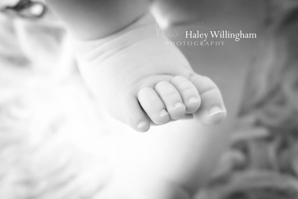Martinsburg WV Baby Photographer