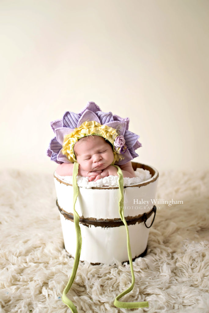 Winchester Virginia Newborn Photographer