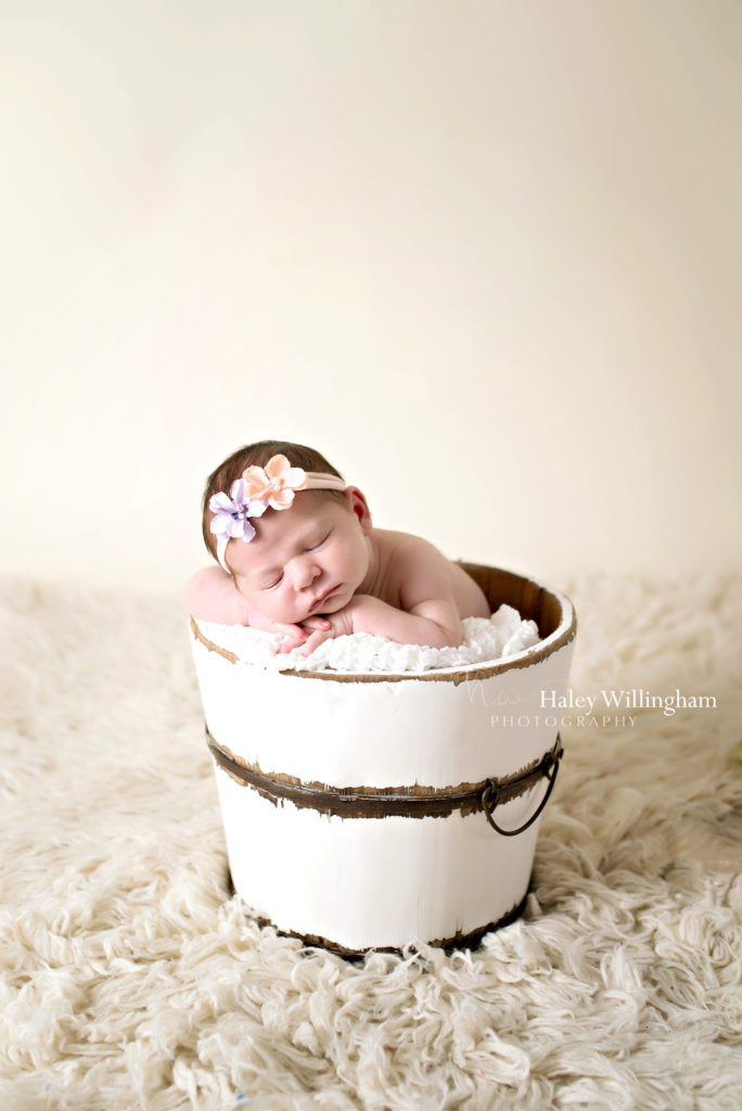 Winchester Virginia Newborn Photographer