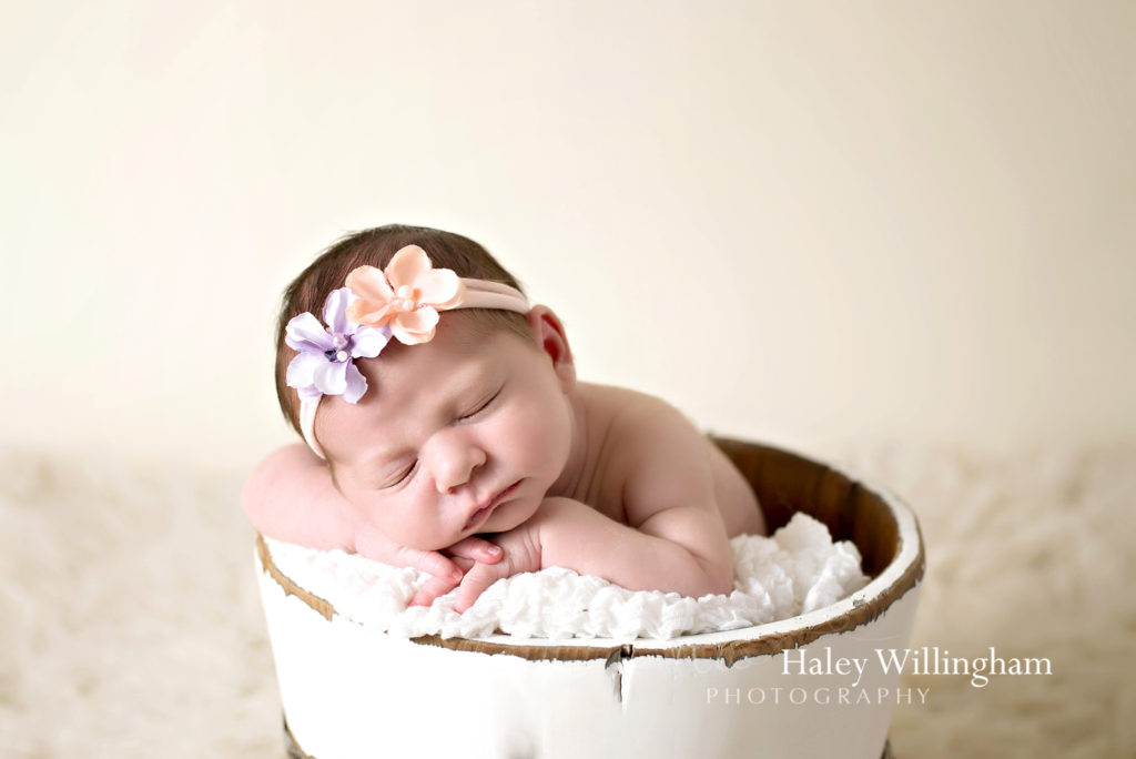 Winchester Virginia Newborn Photographer