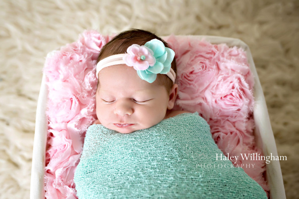 Winchester Virginia Newborn Photographer