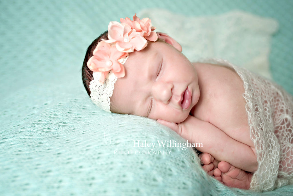 Winchester Virginia Newborn Photographer