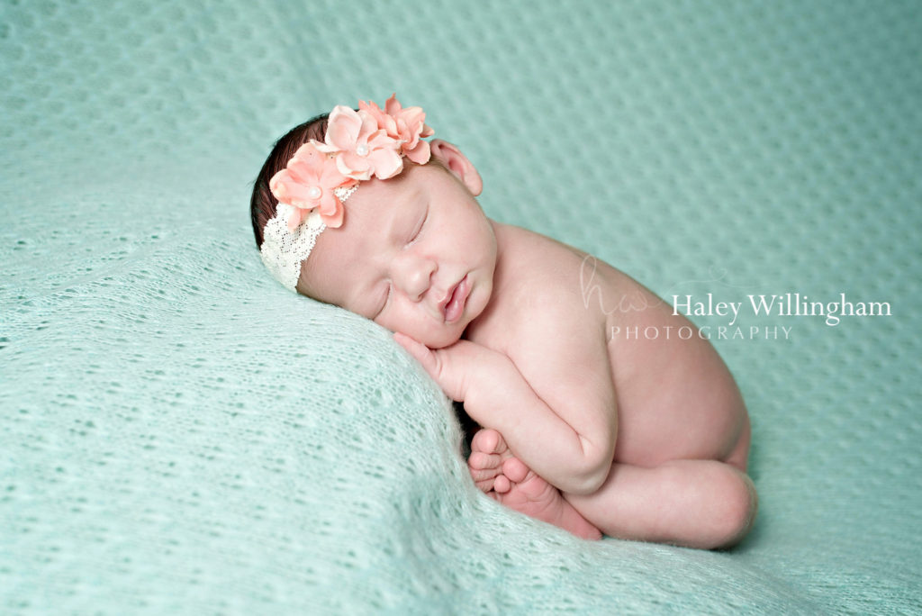 Winchester Virginia Newborn Photographer