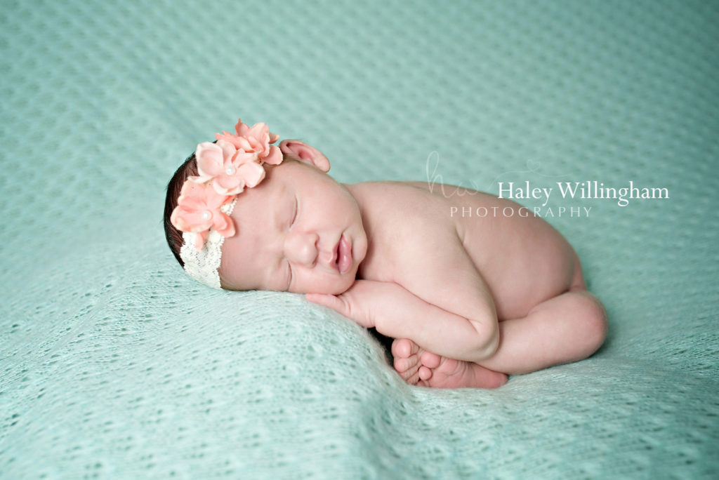 Winchester Virginia Newborn Photographer