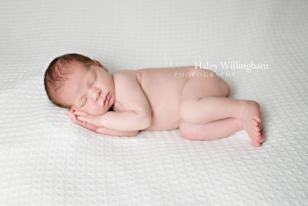 Winchester Virginia Newborn Photographer