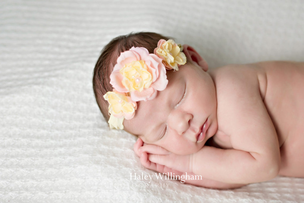 Winchester Virginia Newborn Photographer