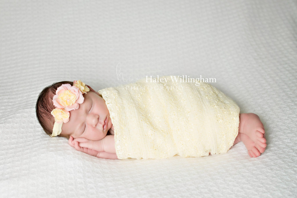 Winchester Virginia Newborn Photographer