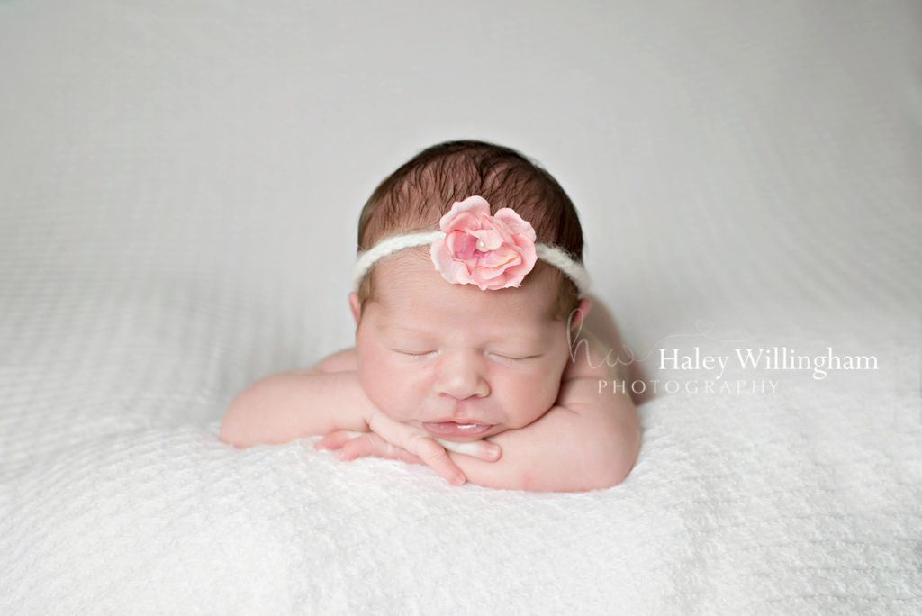 Winchester Virginia Newborn Photographer