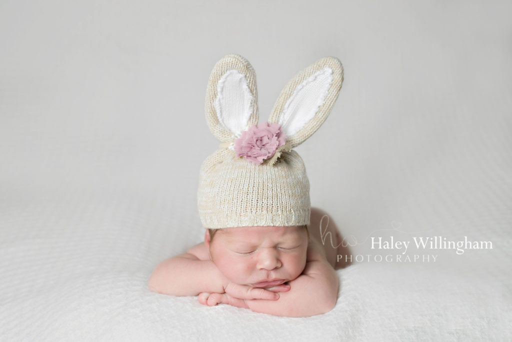 Winchester Virginia Newborn Photographer