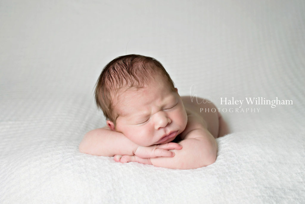 Winchester Virginia Newborn Photographer