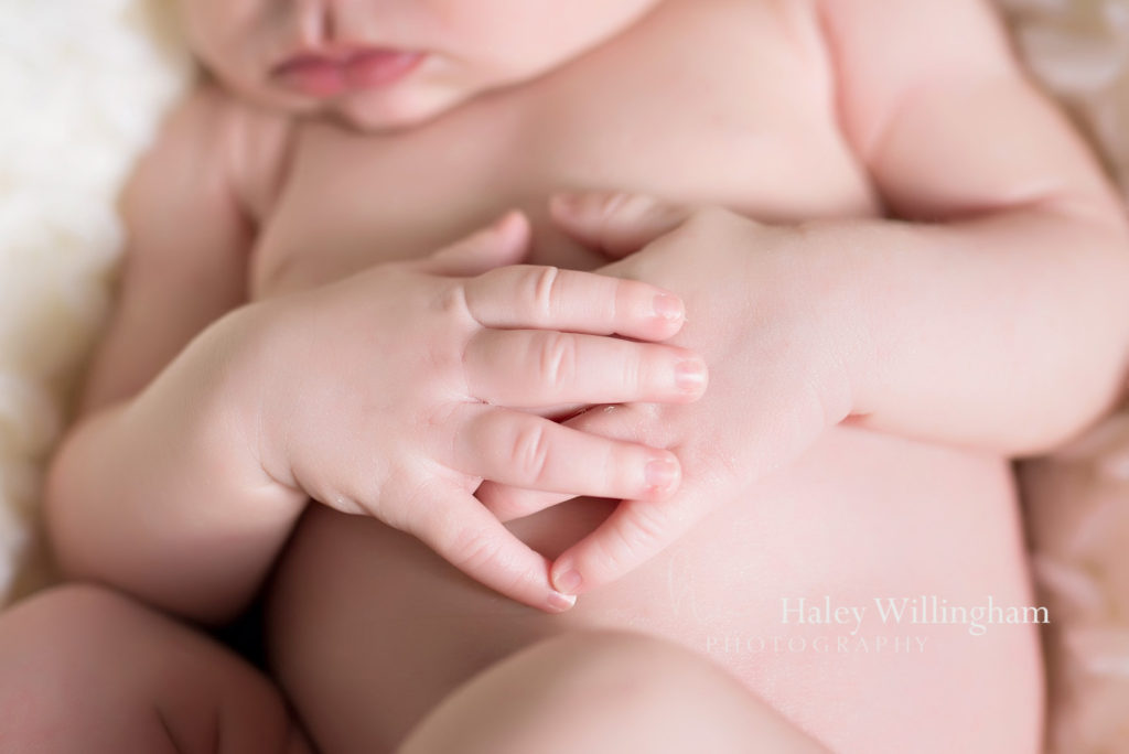 Winchester Virginia Newborn Photographer