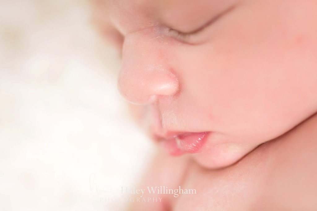 Winchester Virginia Newborn Photographer