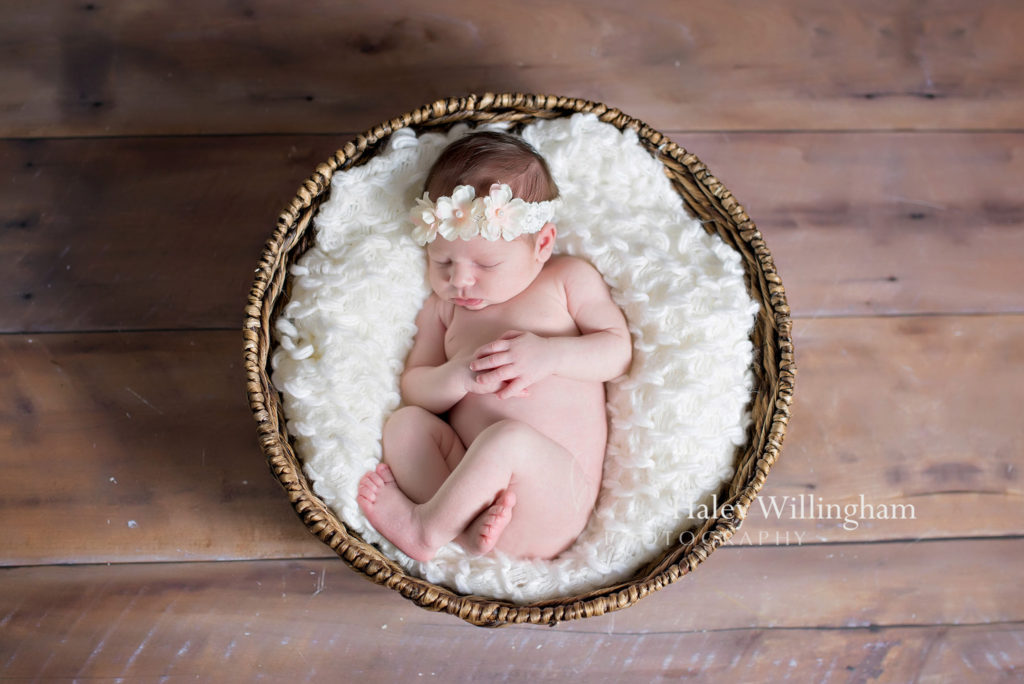 Winchester Virginia Newborn Photographer