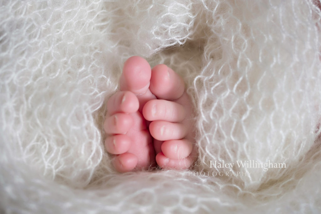 Winchester Virginia Newborn Photographer