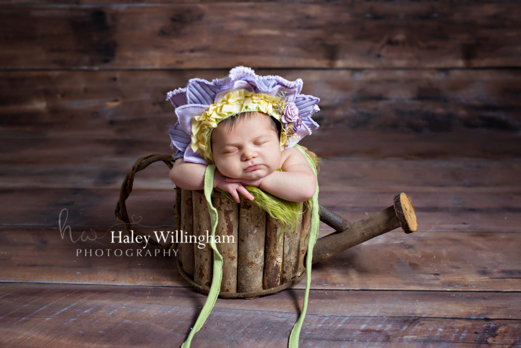 Charles Town WV Newborn Photographer