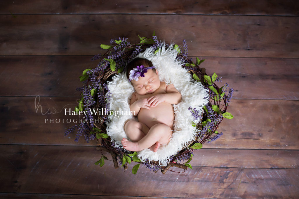 Charles Town WV Newborn Photographer