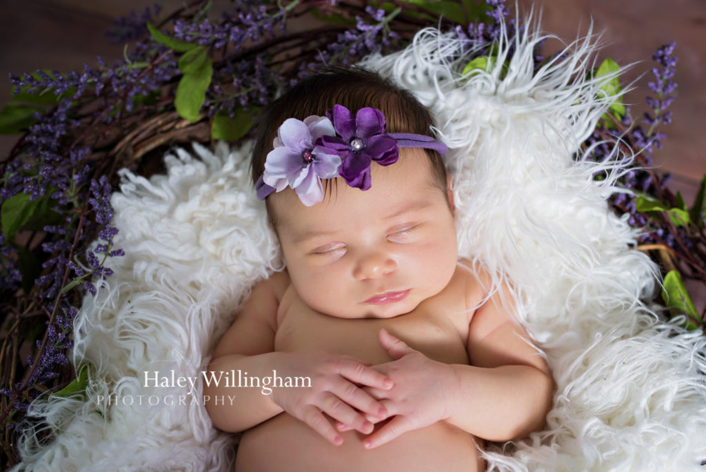 Charles Town WV Newborn Photographer