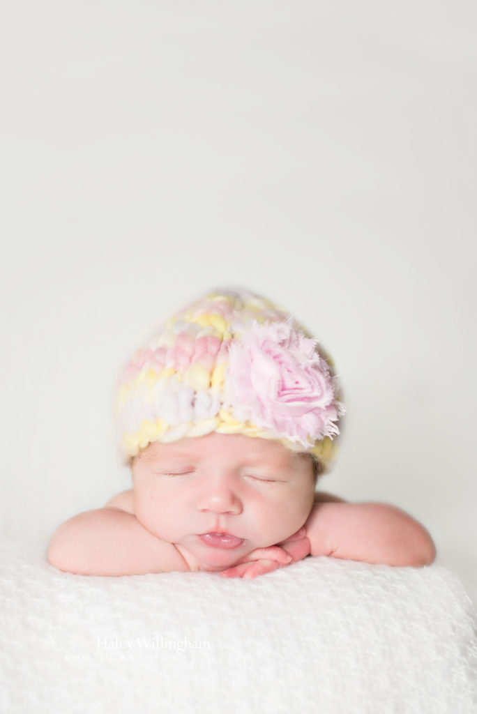 Martinsburg WV Newborn Photographer