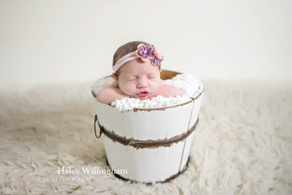 Martinsburg WV Newborn Photographer