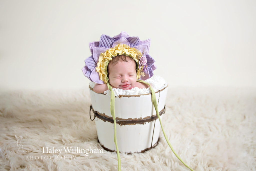 Martinsburg WV Newborn Photographer