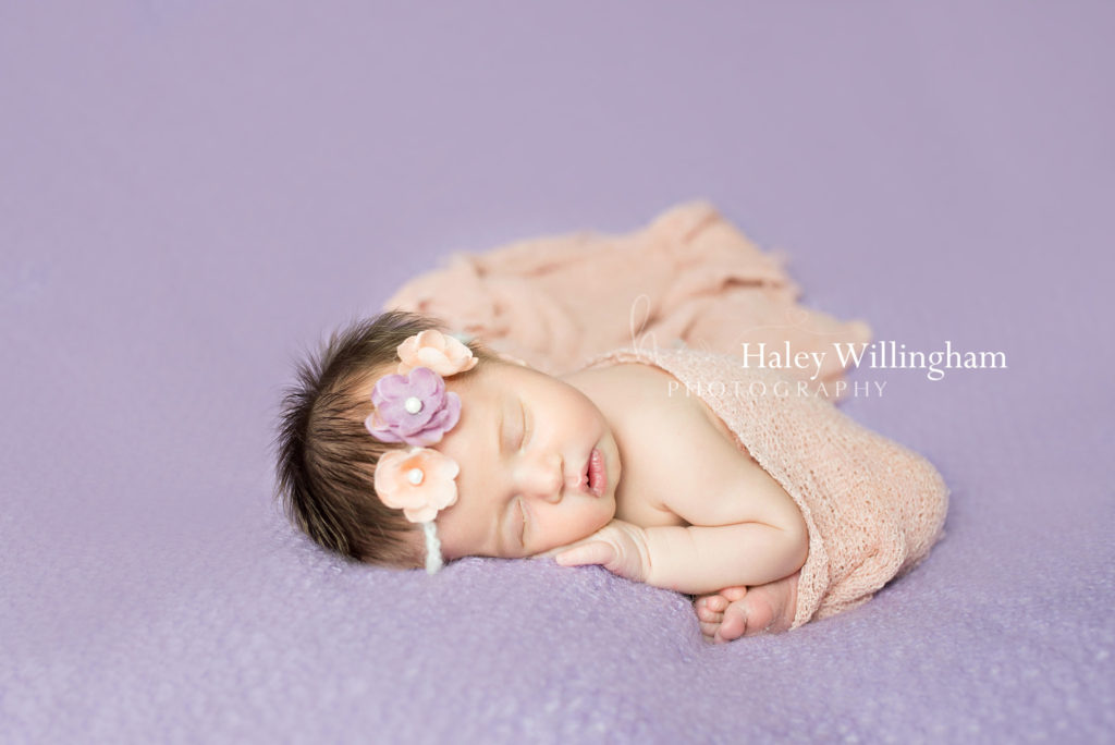 Newborn Photographer Martinsburg WV