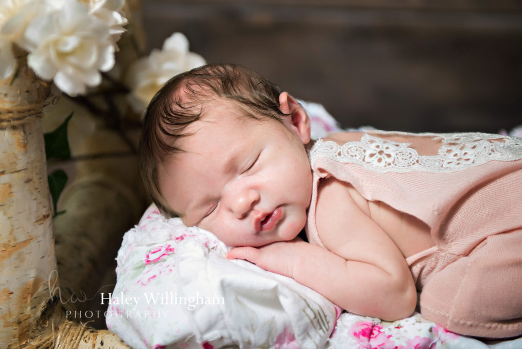 Martinsburg WV Newborn Photographer