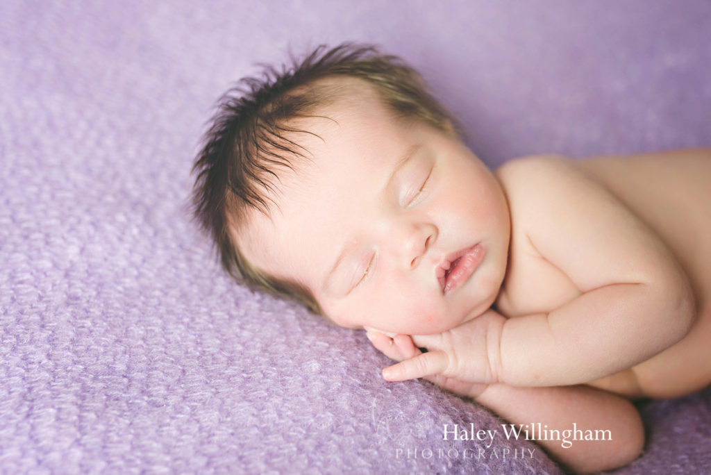 Newborn Photographer Martinsburg WV