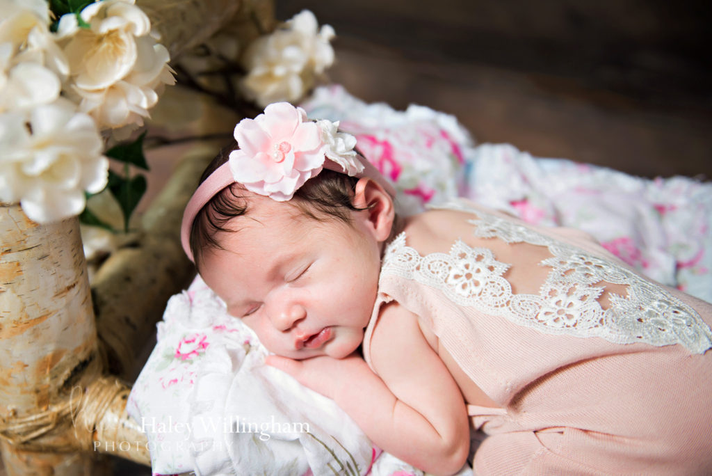 Martinsburg WV Newborn Photographer