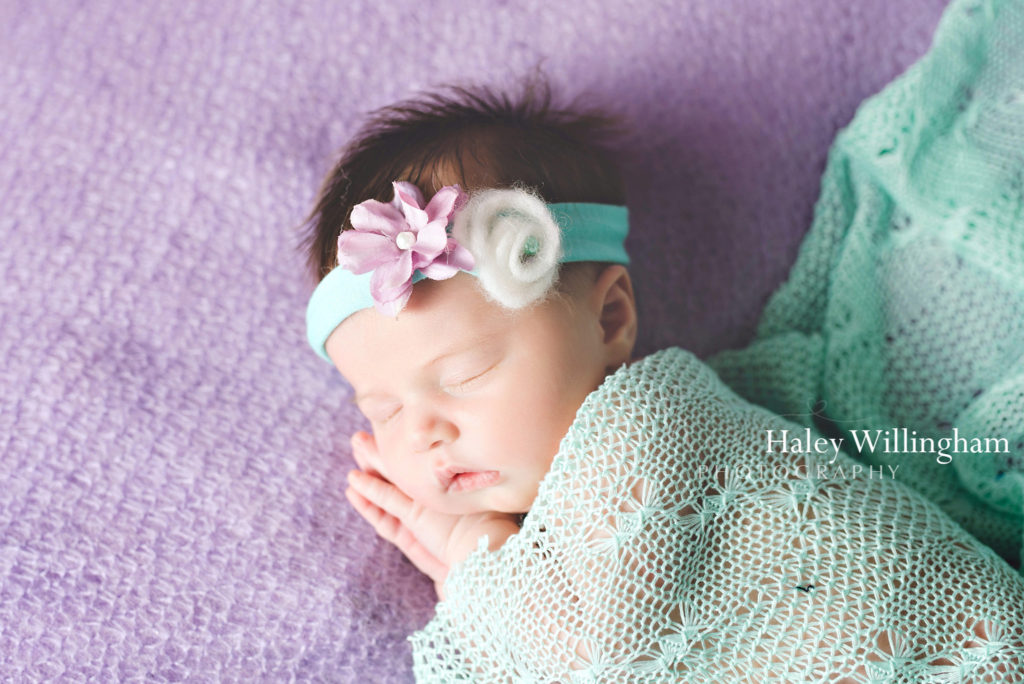 Newborn Photographer Martinsburg WV