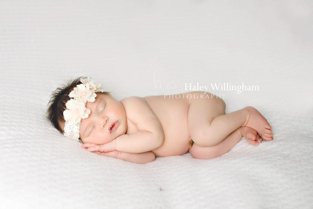 Newborn Photographer Martinsburg WV