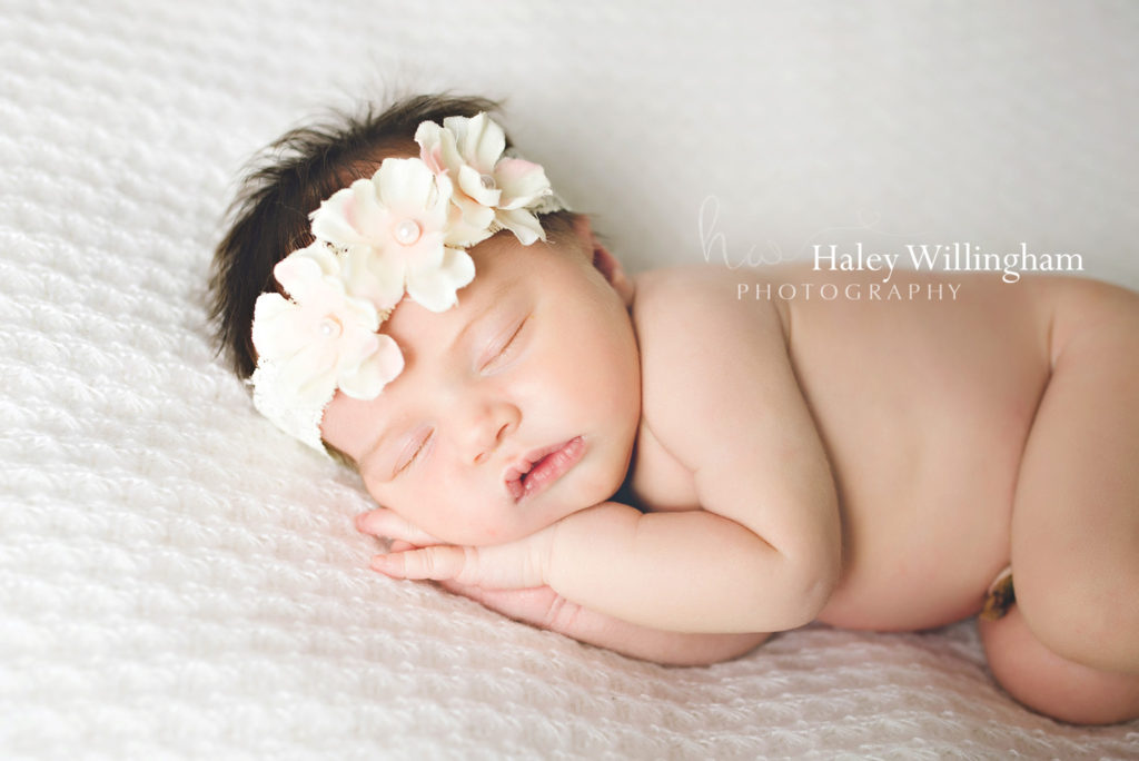 Newborn Photographer Martinsburg WV